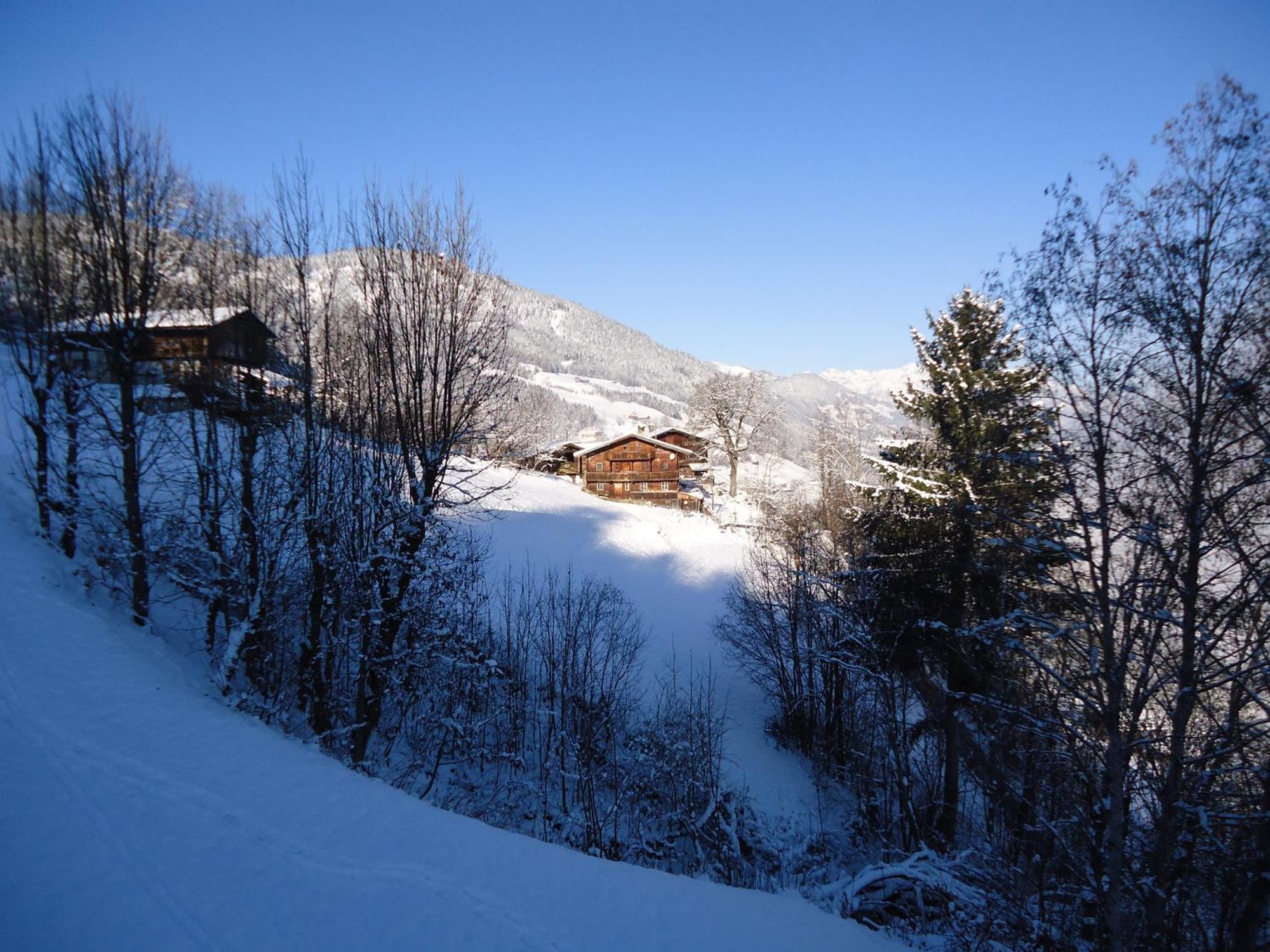 Apart Bianca Zillertal Kaltenbach Esterno foto